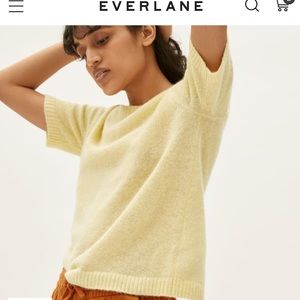 Everlane Alpaca Sweater Tee